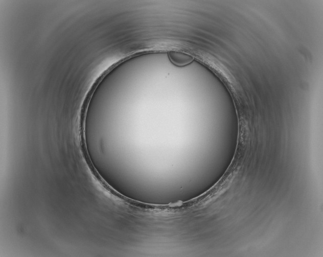 X0000112481087200908311406