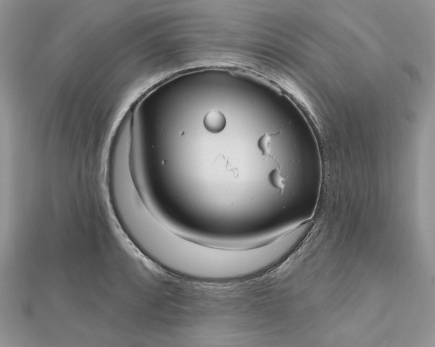 X0000112481088200908311406