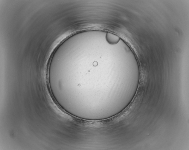 X0000112481090200908311406