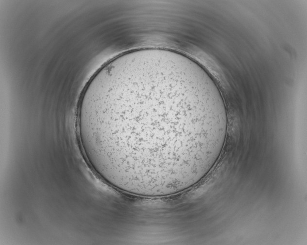 X0000112481094200908311406