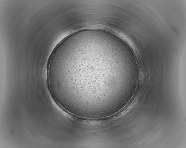 X0000112481095200908311406