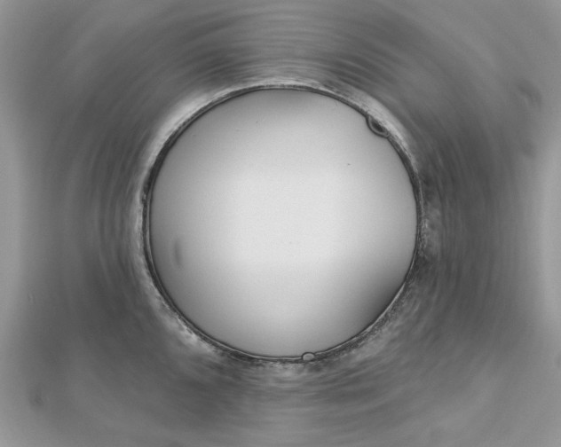 X0000112481096200908311405