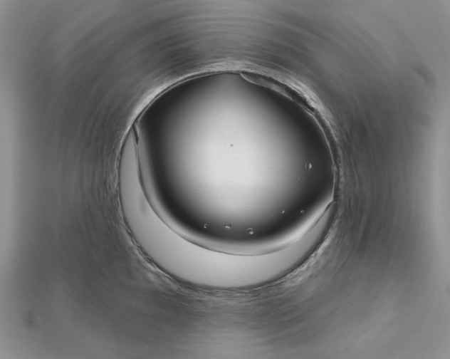 X0000112481097200908311405