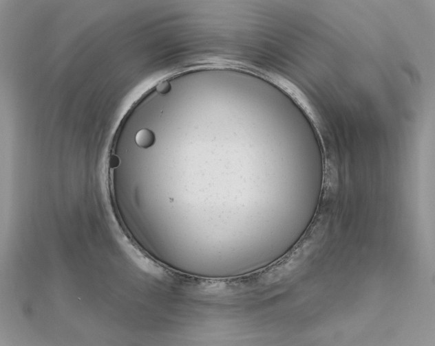 X0000112481098200908311405