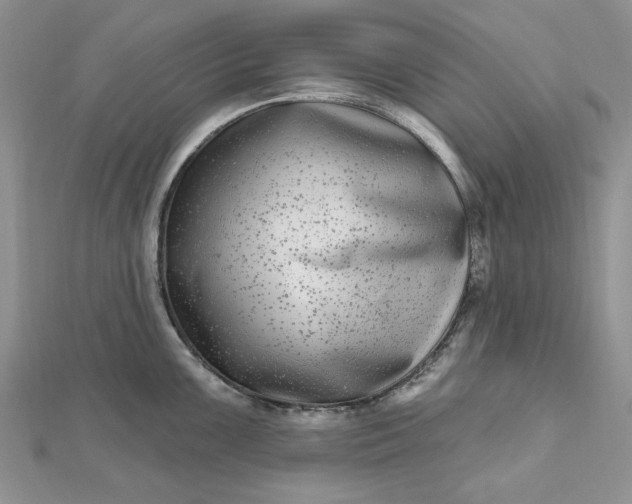 X0000112481099200908311405