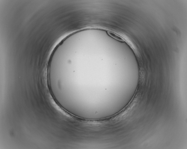 X0000112481100200908311405