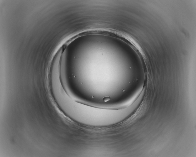 X0000112481101200908311405