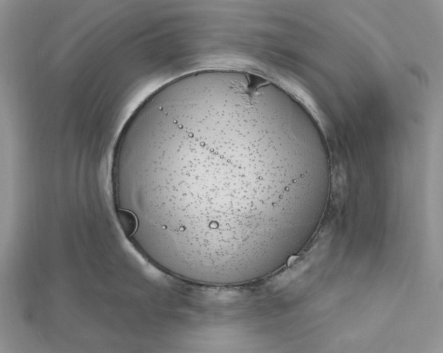 X0000112481103200908311405