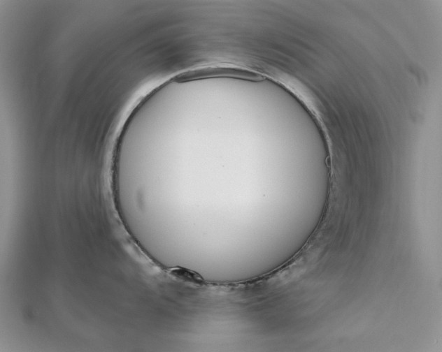 X0000112481104200908311405