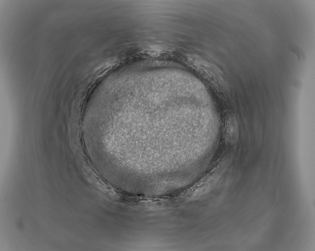 X0000112481105200908311405