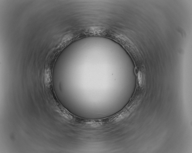 X0000112481107200908311405