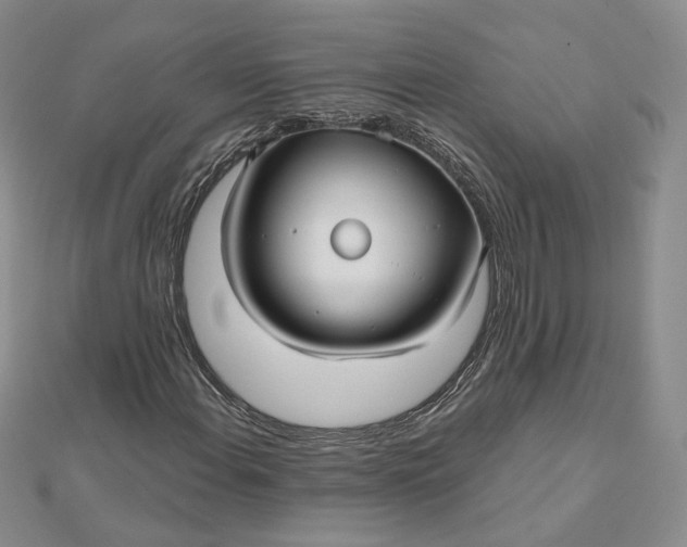 X0000112481108200908311405