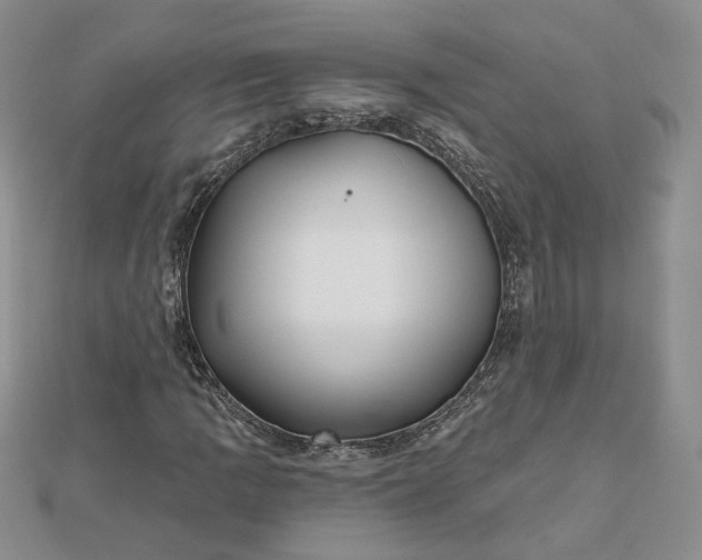 X0000112481109200908311405