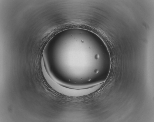 X0000112481110200908311405