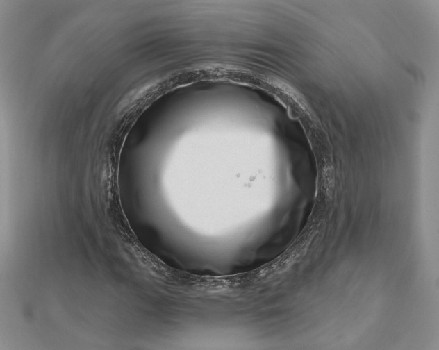 X0000112481111200908311405