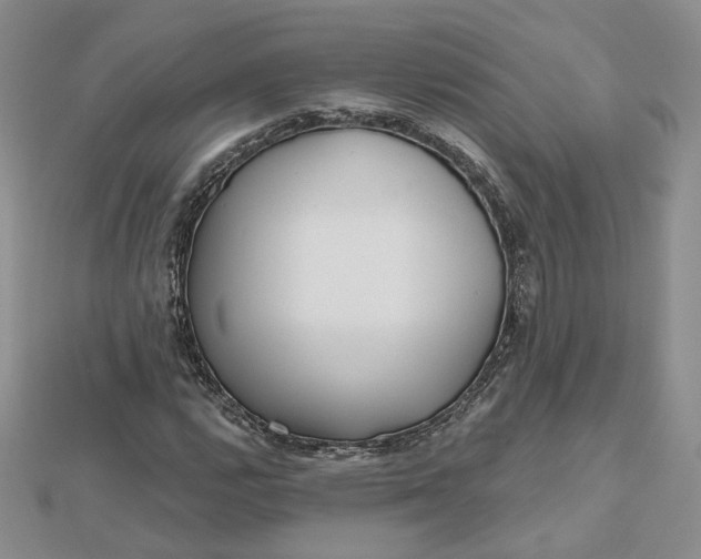 X0000112481112200908311405