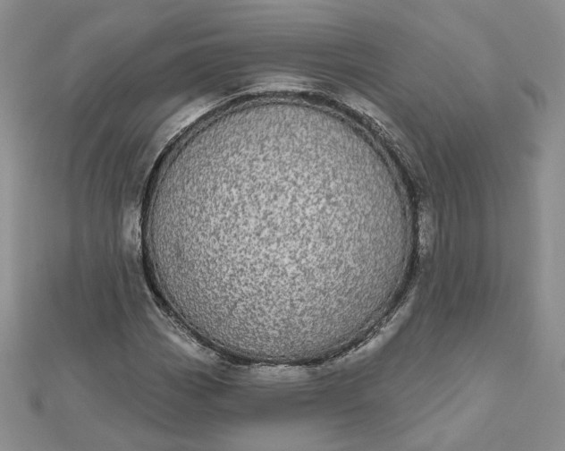 X0000112481113200908311405