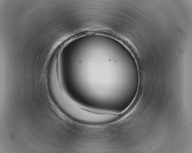 X0000112481114200908311405