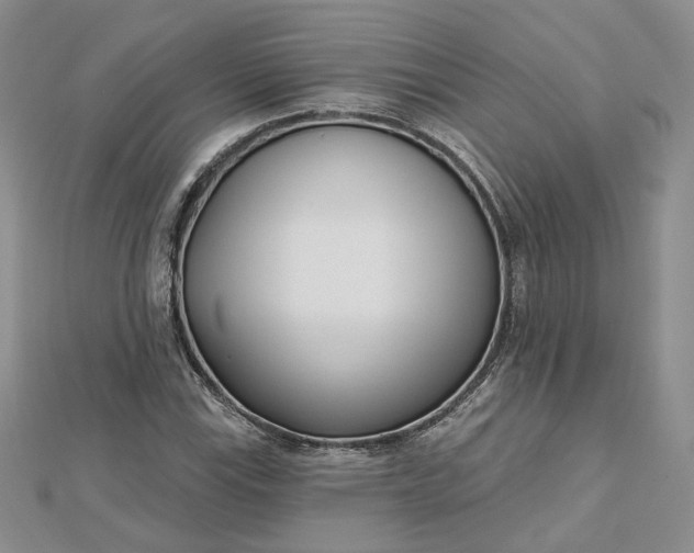 X0000112481115200908311405