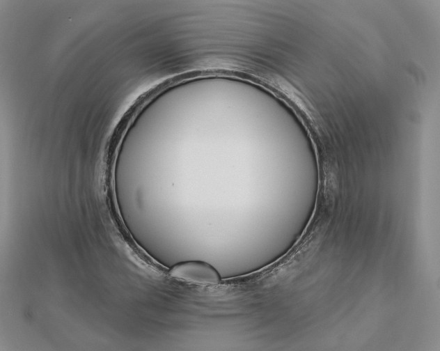 X0000112481116200908311405