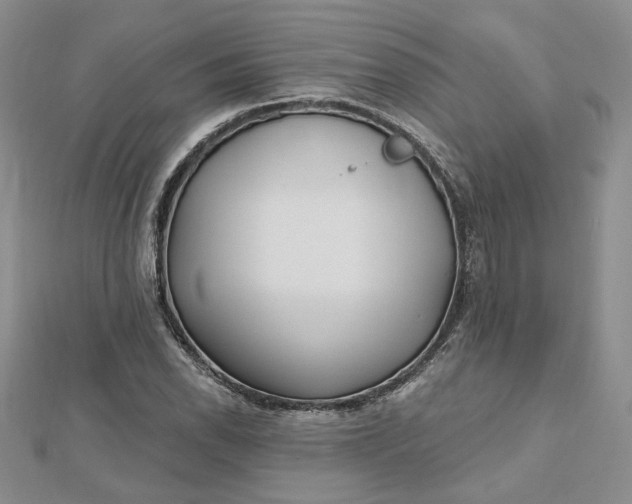 X0000112481118200908311405