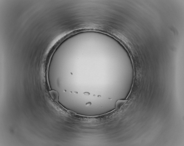 X0000112481120200908311405