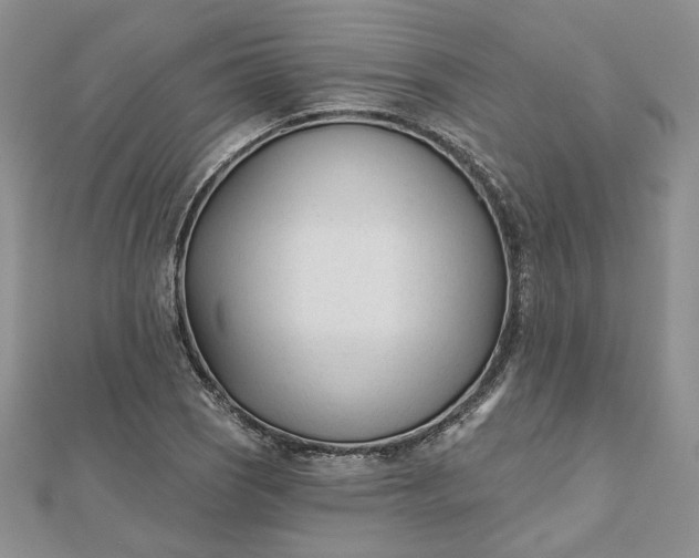 X0000112481121200908311405