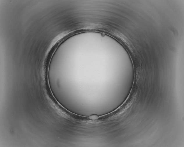 X0000112481122200908311405