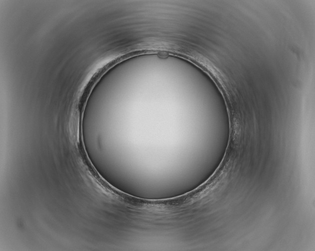 X0000112481123200908311405