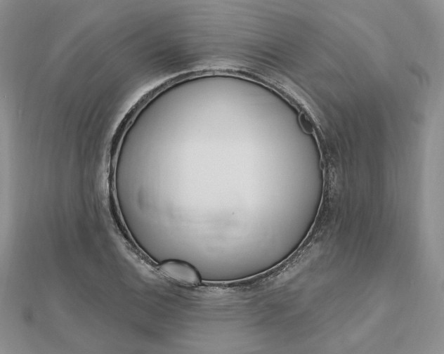 X0000112481124200908311405