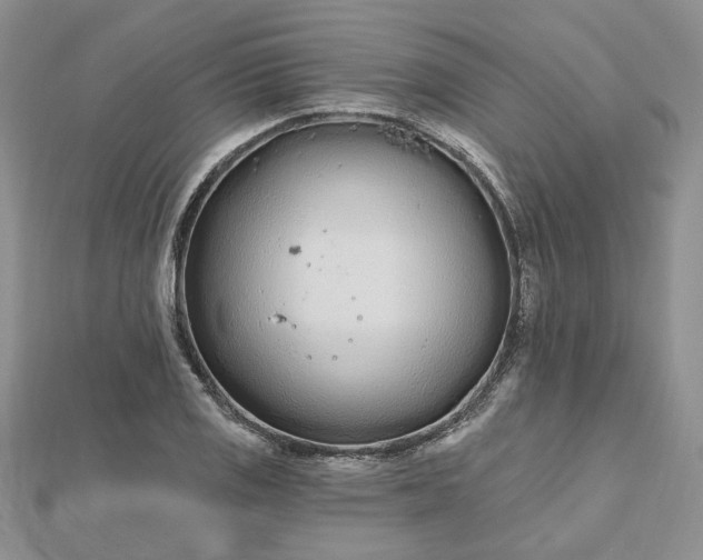 X0000112481125200908311405