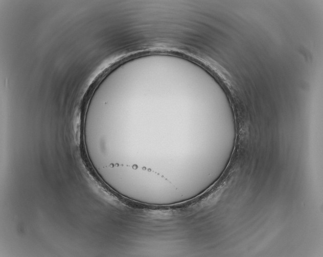 X0000112481126200908311405