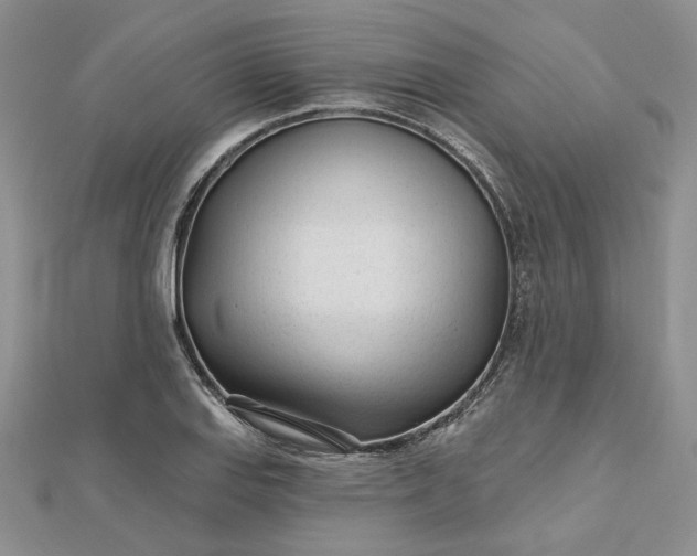 X0000112481127200908311405