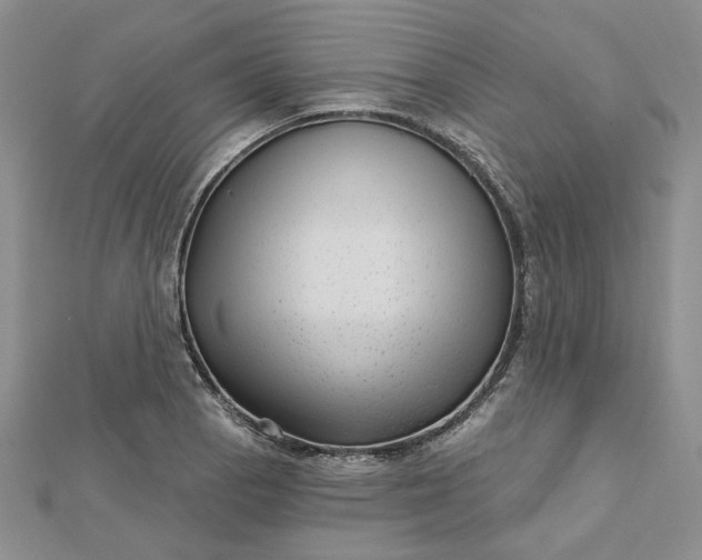 X0000112481129200908311405