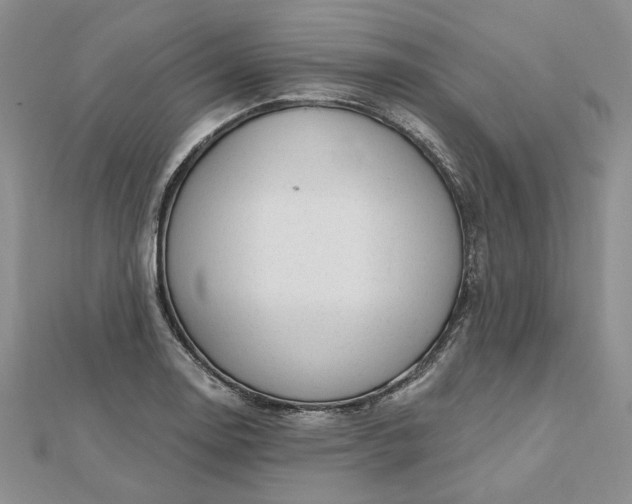 X0000112481130200908311405