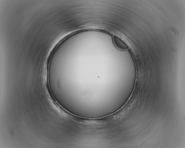 X0000112481132200908311405