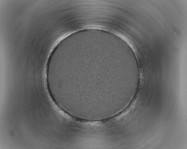 X0000112481133200908311405