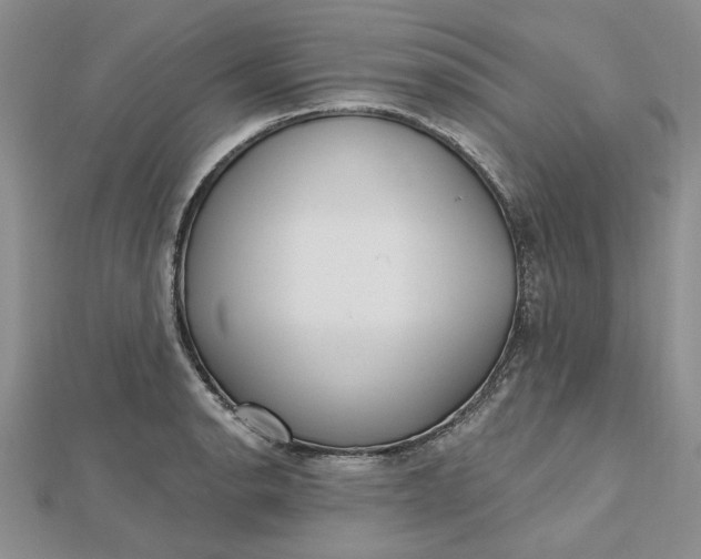 X0000112481134200908311405