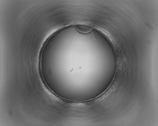 X0000112481135200908311405