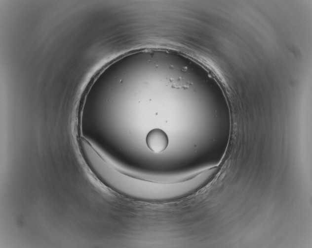 X0000112481136200908311405