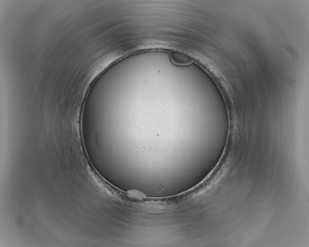 X0000112481137200908311405