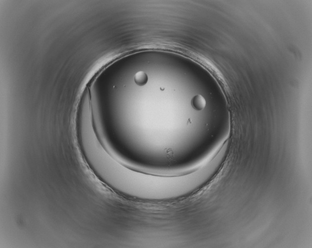 X0000112481138200908311405