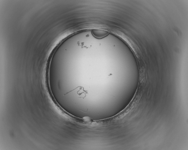 X0000112481139200908311405