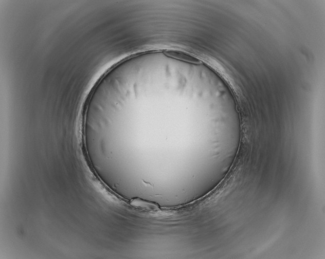 X0000112481140200908311405