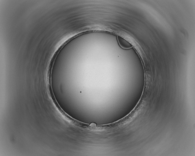 X0000112481141200908311405