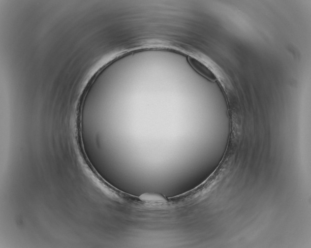 X0000112481142200908311405