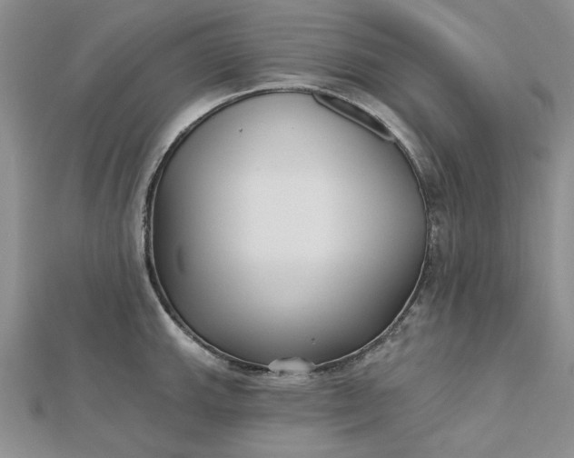 X0000112481143200908311405