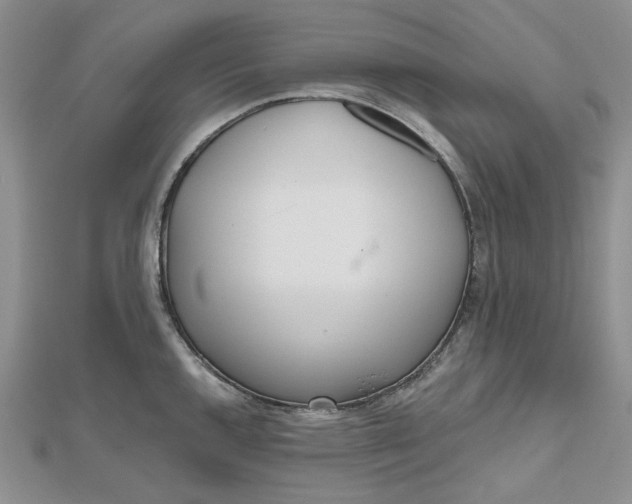 X0000112481144200908311405