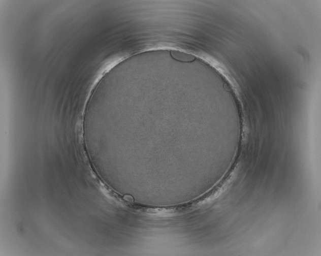 X0000112481145200908311405