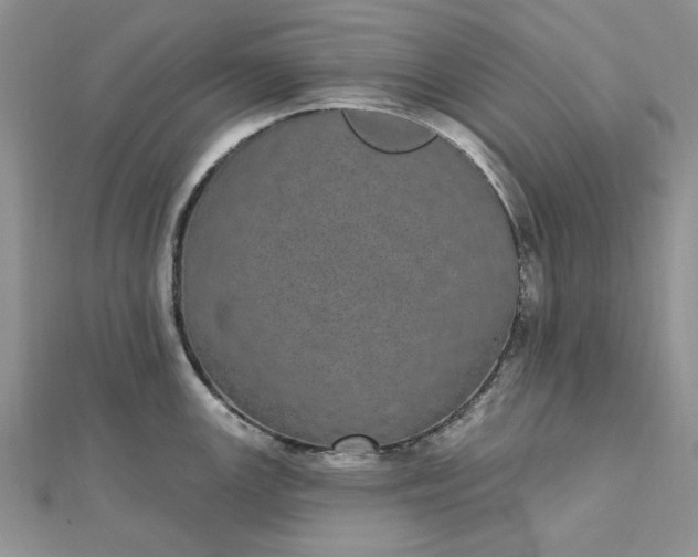 X0000112481147200908311405